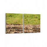 Olla 14179K2Y Doğa / Manzara Görseli Kare 2'li Yatay Kanvas Tablo (Ölçü: 85X40)
