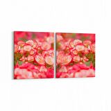 Olla 11635K2Y Çiçek Görseli Kare 2'li Yatay Kanvas Tablo (Ölçü: 85X40)