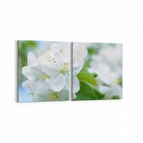 Olla 10915K2Y Ağaç Görseli Kare 2'li Yatay Kanvas Tablo (Ölçü: 145X70)