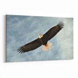 Olla 12688Y Hayvanlar Alemi Görseli Yatay Kanvas Tablo (Ölçü: 150X100)