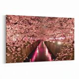 Olla 14000Y Doğa / Manzara Görseli Yatay Kanvas Tablo (Ölçü: 70X50)