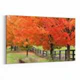 Olla 13292Y Doğa / Manzara Görseli Yatay Kanvas Tablo (Ölçü: 90X60)