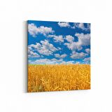 Olla 14105K Doğa / Manzara Görseli Kare Kanvas Tablo (Ölçü: 25X25)