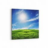 Olla 14626K Doğa / Manzara Görseli Kare Kanvas Tablo (Ölçü: 25X25)