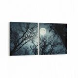 Olla 14749K2Y Gece Gökyüzü Görseli Kare 2'li Yatay Kanvas Tablo (Ölçü: 145X70)