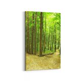 Olla 13946D Doğa / Manzara Görseli Dikey Kanvas Tablo (Ölçü: 60X90)