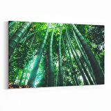 Olla 13313Y Doğa / Manzara Görseli Yatay Kanvas Tablo (Ölçü: 150X100)