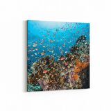 Olla 12137K Akvaryum / Balık Görseli Kare Kanvas Tablo (Ölçü: 100X100)