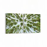 Olla 11536K2Y Palmiye Ağacı Görseli Kare 2'li Yatay Kanvas Tablo (Ölçü: 125X60)