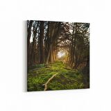 Olla 14005K Doğa / Manzara Görseli Kare Kanvas Tablo (Ölçü: 100X100)