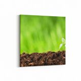 Olla 14288K Doğa / Manzara Görseli Kare Kanvas Tablo (Ölçü: 25X25)