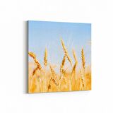 Olla 15291K Gıda Görseli Kare Kanvas Tablo (Ölçü: 100X100)