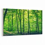 Olla 14090Y Doğa / Manzara Görseli Yatay Kanvas Tablo (Ölçü: 45X30)