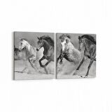 Olla 12462K2Y Hayvanlar Alemi Görseli Kare 2'li Yatay Kanvas Tablo (Ölçü: 85X40)