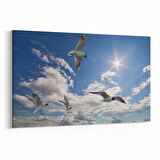 Olla 15843Y Gökyüzü Kuşlar Görseli Yatay Kanvas Tablo (Ölçü: 70X50)