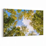 Olla 10736Y Ağaç Görseli Yatay Kanvas Tablo (Ölçü: 150X100)