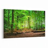 Olla 13851Y Doğa / Manzara Görseli Yatay Kanvas Tablo (Ölçü: 120X80)