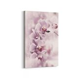 Olla 11702D Orkide Çiçek Görseli Dikey Kanvas Tablo (Ölçü: 20X30)