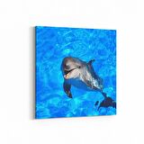 Olla 12993K Deniz / Okyanus Görseli Kare Kanvas Tablo (Ölçü: 60X60)