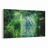 Olla 14004Y Doğa / Manzara Görseli Yatay Kanvas Tablo (Ölçü: 70X50)