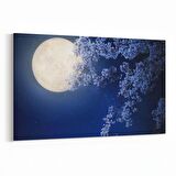 Olla 14767Y Gece Gökyüzü Görseli Yatay Kanvas Tablo (Ölçü: 150X100)