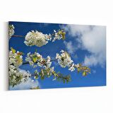 Olla 10995Y Ağaç Görseli Yatay Kanvas Tablo (Ölçü: 120X80)