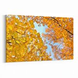 Olla 10889Y Ağaç Görseli Yatay Kanvas Tablo (Ölçü: 150X100)