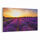 Olla 16002Y Günbatımı Görseli Yatay Kanvas Tablo (Ölçü: 45X30)