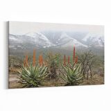 Olla 14220Y Doğa / Manzara Görseli Yatay Kanvas Tablo (Ölçü: 30X20)