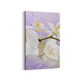 Olla 11660D Orkide Çiçek Görseli Dikey Kanvas Tablo (Ölçü: 100X150)