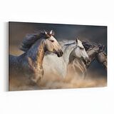 Olla 12598Y Hayvanlar Alemi Görseli Yatay Kanvas Tablo (Ölçü: 70X50)