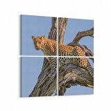 Olla 12466K4 Hayvanlar Alemi Görseli Kare 4'lü Kanvas Tablo (Ölçü: 65X65)