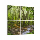 Olla 14431K4 Doğa / Manzara Görseli Kare 4'lü Kanvas Tablo (Ölçü: 145X145)