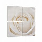 Olla 11641K4 Çiçek Görseli Kare 4'lü Kanvas Tablo (Ölçü: 105X105)