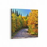 Olla 14015K Doğa / Manzara Görseli Kare Kanvas Tablo (Ölçü: 30X30)