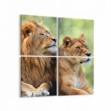 Olla 12458K4 Hayvanlar Alemi Görseli Kare 4'lü Kanvas Tablo (Ölçü: 145X145)