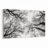 Olla 10555Y Ağaç Görseli Yatay Kanvas Tablo (Ölçü: 45X30)