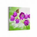 Olla 10592K Ağaç Görseli Kare Kanvas Tablo (Ölçü: 60X60)