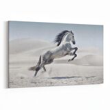 Olla 12548Y Hayvanlar Alemi Görseli Yatay Kanvas Tablo (Ölçü: 70X50)