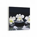 Olla 17105K Spa / Masaj Görseli Kare Kanvas Tablo (Ölçü: 25X25)