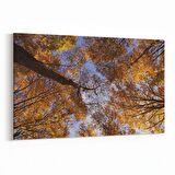 Olla 10856Y Ağaç Görseli Yatay Kanvas Tablo (Ölçü: 150X100)