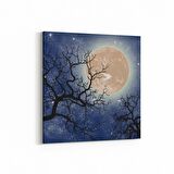 Olla 14638K Gece Gökyüzü Görseli Kare Kanvas Tablo (Ölçü: 60X60)