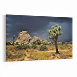 Olla 14571Y Doğa / Manzara Görseli Yatay Kanvas Tablo (Ölçü: 70X50)