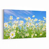 Olla 14320Y Doğa / Manzara Görseli Yatay Kanvas Tablo (Ölçü: 30X20)