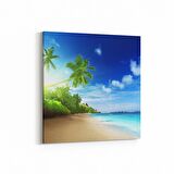 Olla 16379K Kumsal / Sahil Görseli Kare Kanvas Tablo (Ölçü: 60X60)