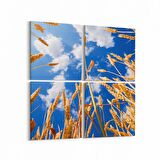 Olla 15283K4 Gıda Görseli Kare 4'lü Kanvas Tablo (Ölçü: 105X105)