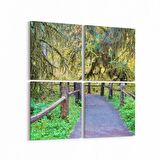 Olla 13305K4 Doğa / Manzara Görseli Kare 4'lü Kanvas Tablo (Ölçü: 105X105)