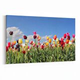 Olla 10770Y Ağaç Görseli Yatay Kanvas Tablo (Ölçü: 70X50)