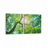 Olla 11055K2Y Ağaç Görseli Kare 2'li Yatay Kanvas Tablo (Ölçü: 65X30)