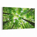 Olla 10506Y Ağaç Görseli Yatay Kanvas Tablo (Ölçü: 70X50)